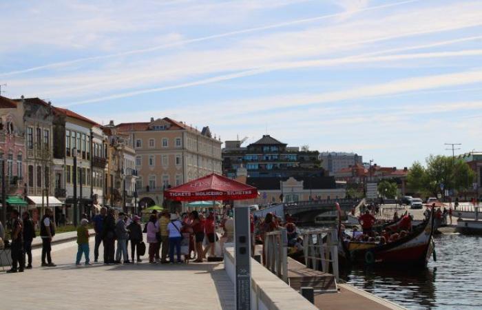 Aveiro / Municipal Assembly: Complaint about chaotic traffic “does not reflect reality well”