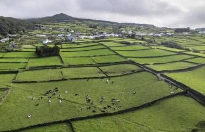 Earthquake measuring 1.8 on the Richter scale felt today on Terceira island
