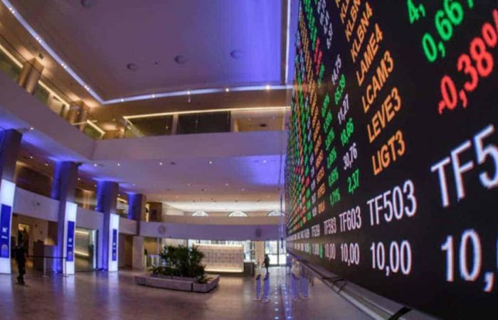 Ibovespa closes in fall driven by abroad and rise in the dollar
