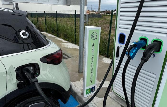 Price war has reached electric cars?