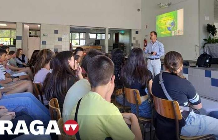 Vila Verde challenges students to adopt more ecological, healthy and economical habits