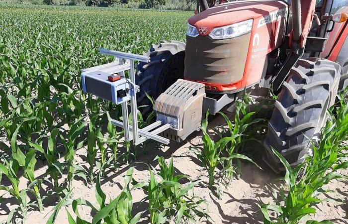University of Coimbra coordinates a European project that aims to develop robotics and machine learning for digital agriculture