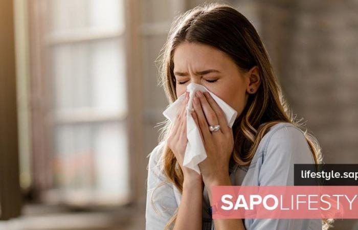 Spring allergies: how to prevent them from affecting oral health? – Fitness and well-being