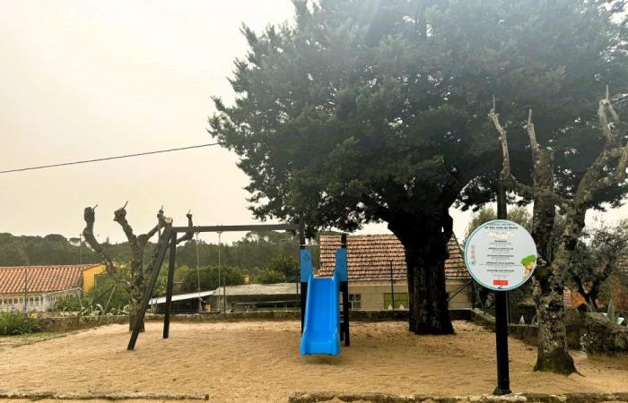 Nelas Chamber redevelops the municipality’s playgrounds: Gazeta Rural