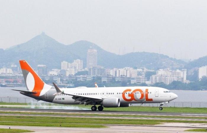 Anac launches process to investigate death of pet at Gol