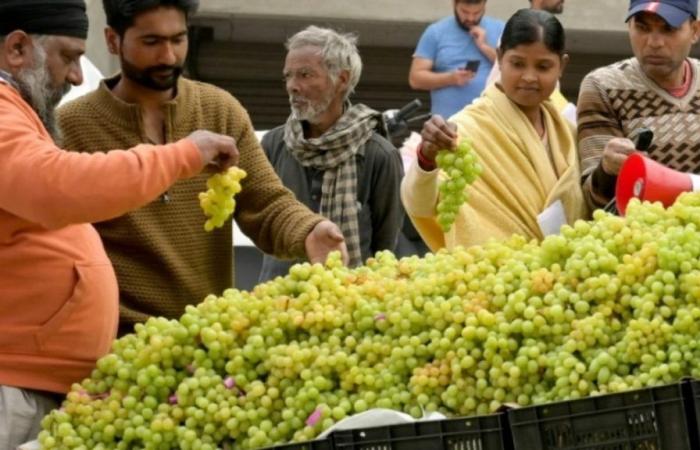 World wine production fell 10% in 2023