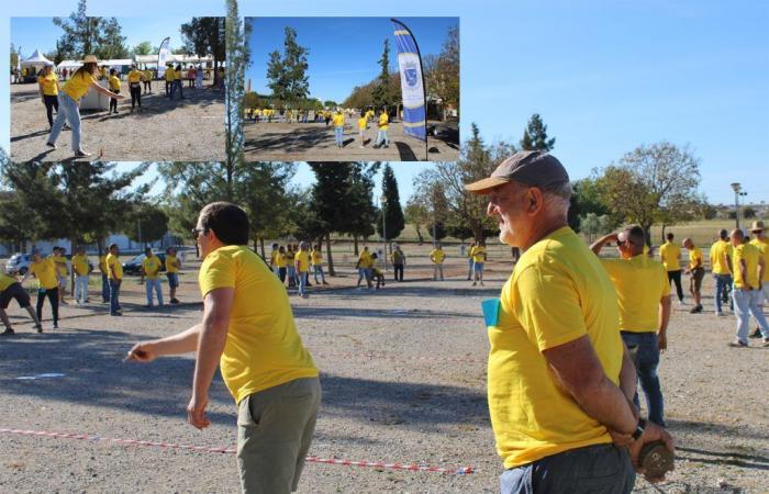 The traditional Municipality of Malha Tournament is today in Moura