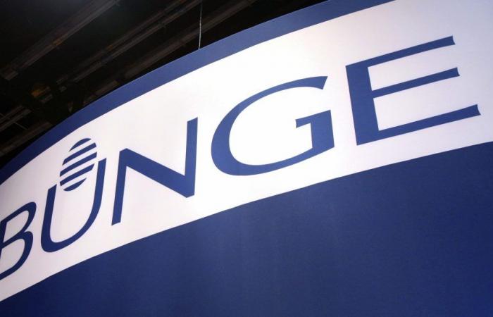 Bunge predicts lower-than-expected profit with fall in grain prices