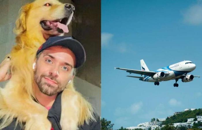 Joca’s death reignites the discussion about animal transport by air