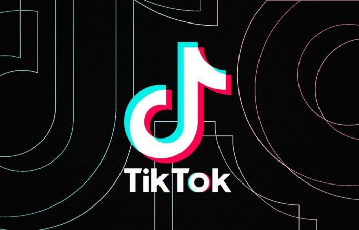 TikTok vs USA: app CEO wants to overturn ban in court after Biden sanctions law