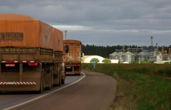 Road freight prices fell 1.4% in March | Harvest Paths