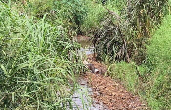 Man is found dead in creek in Bairro Santa Cruz | CGN