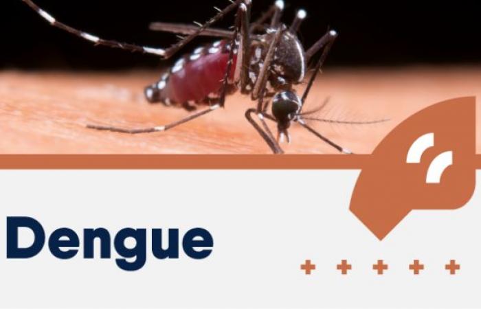 Dengue vaccine is already offered by SUS