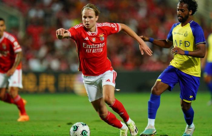 “Benfica can still expect great things from Schjelderup”