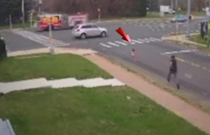“Hero” barbers save child running into intersection. Now look