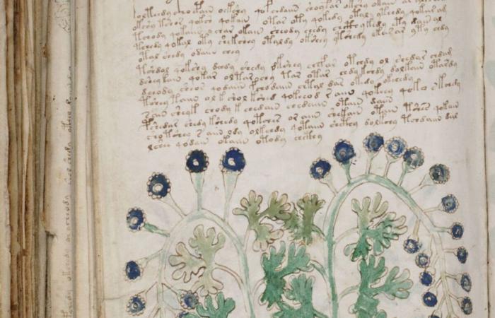 Mysterious Voynich Manuscript Contains Sex Advice and “Women’s Secrets”