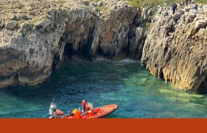 Maritime Police rescue dog that fell from cliff in Peniche | pet