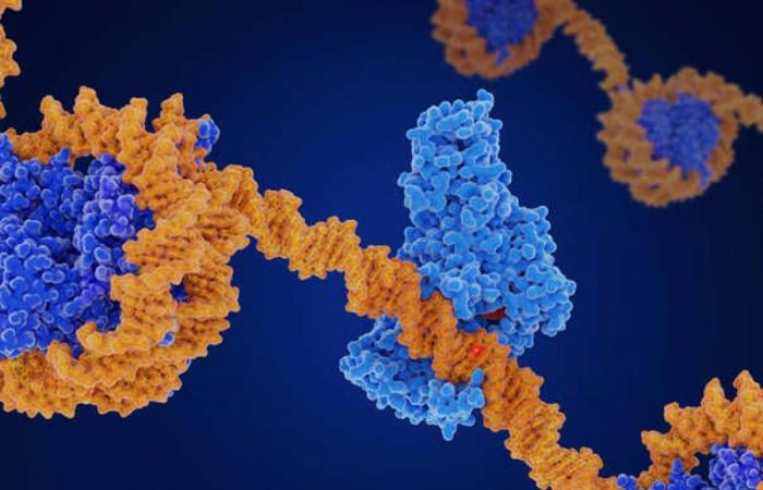 5 interesting facts about DNA that you should know