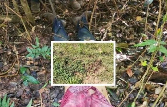 Worker is killed by jaguar on farm; body is found after 300 meters of dragging. – RRMAIS