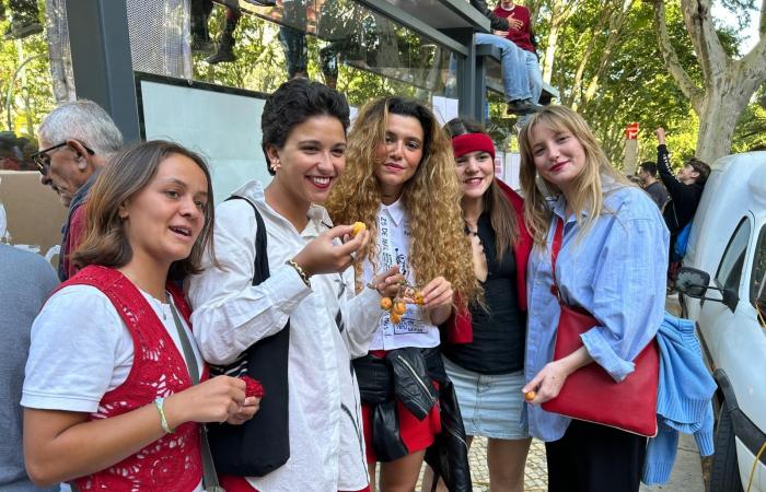 “Thanks to the 25th of April, my parents were able to return to Portugal.” Avenida da Liberdade also dressed up as young people during the 50th anniversary of the revolution – from the youngest to the oldest