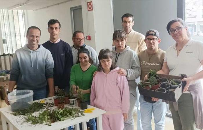 Braga planted more than 600 fruit trees in one week
