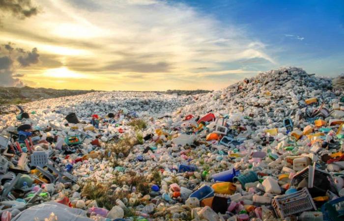 These 5 companies generate the majority of plastic pollution in the world