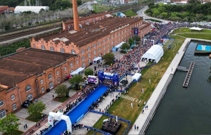 European Marathon runs on Sunday, in Aveiro