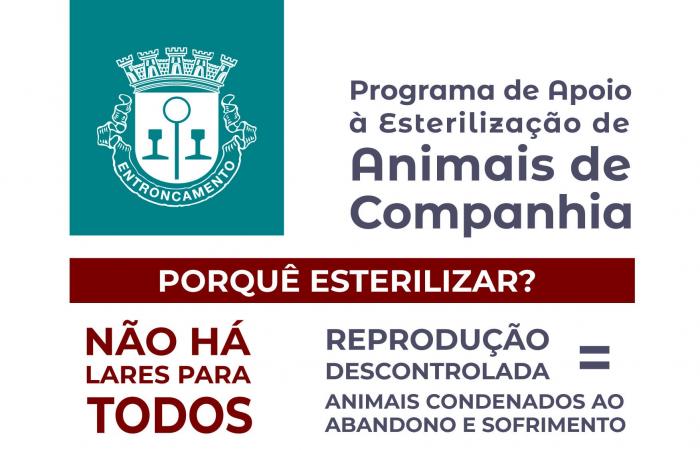 Municipality has a Support Program for the Sterilization of Companion Animals