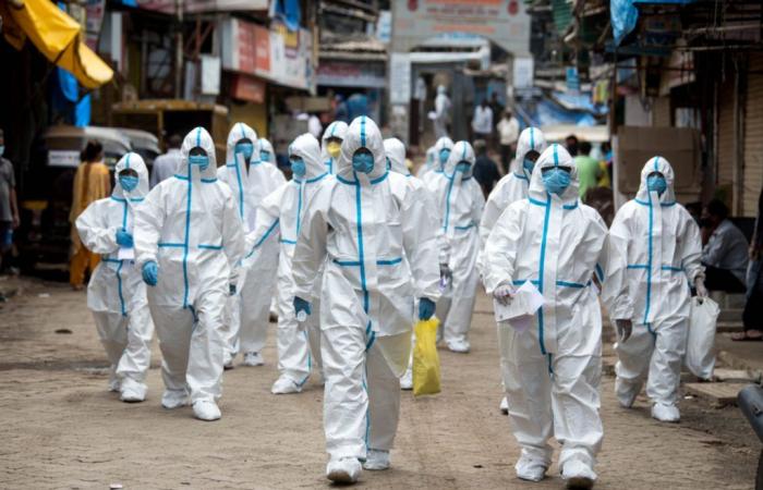 Which virus could cause the next pandemic? Study reveals