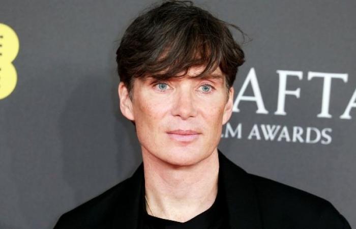 Sequel to 28 Days Later, with Cillian Murphy, features two great Hollywood actors