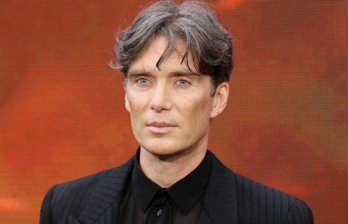 Sequel to 28 Days Later, with Cillian Murphy, features two great Hollywood actors