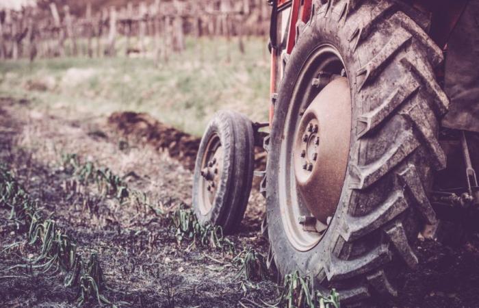 84-year-old man dies in tractor accident in the municipality of Sabugal
