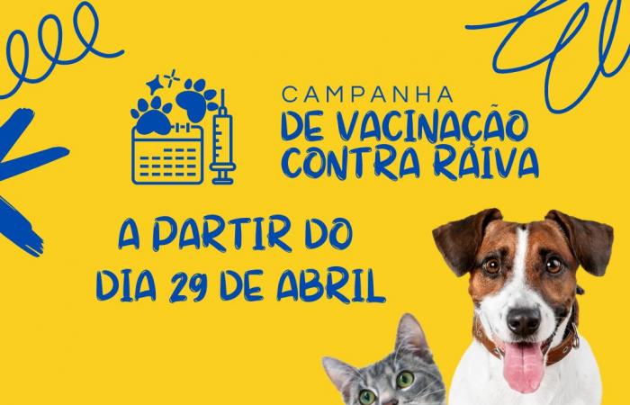 Counselor Lafaiete Starts Animal Rabies Vaccination Campaign