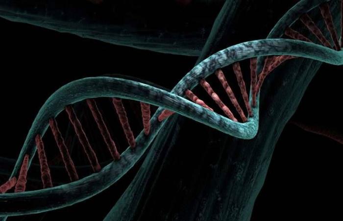 5 interesting facts about DNA that you should know