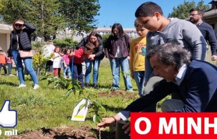 600 fruit trees planted in Braga