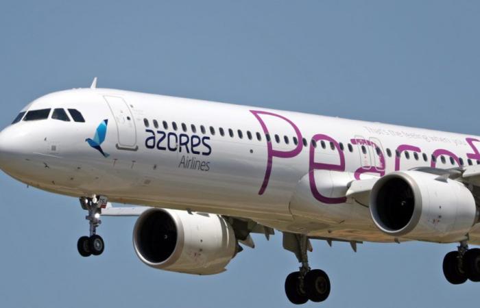 Azores will take into account jury opinion in the privatization of Azores Airlines