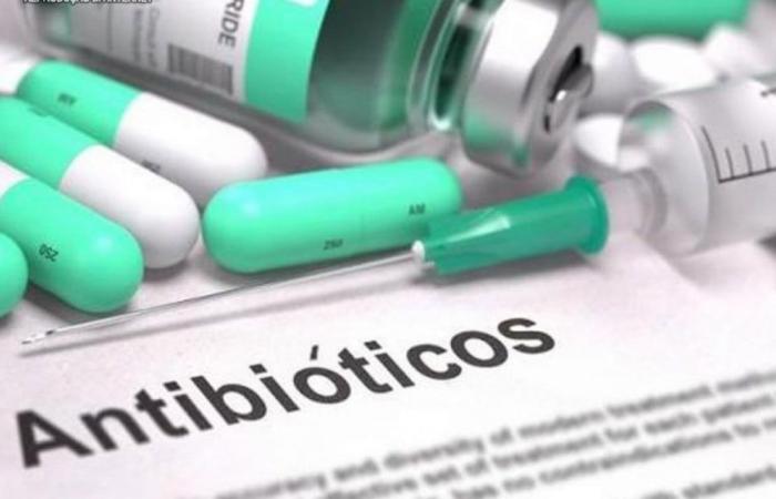 WHO warns of excessive use of antibiotics during pandemic; know the risks | World and Science