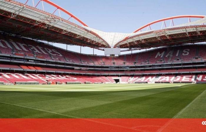 Benfica 0-1 Sp. Braga | Ricardo Horta opens the scoring at Luz – Football