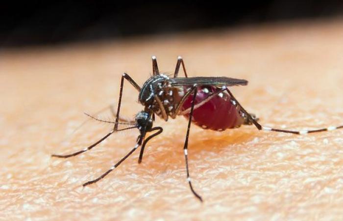 Health qualifies 230 professionals to administer innovative malaria treatment