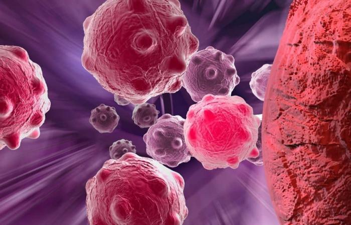 Technique allows you to see inside cancer cells