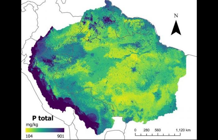 Maps developed with AI confirm phosphorus levels in Amazon soil