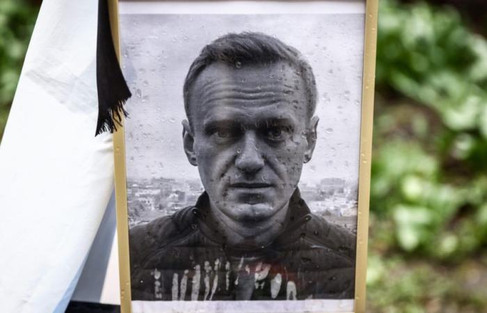 US secret services discard Putin’s order to kill Navalny