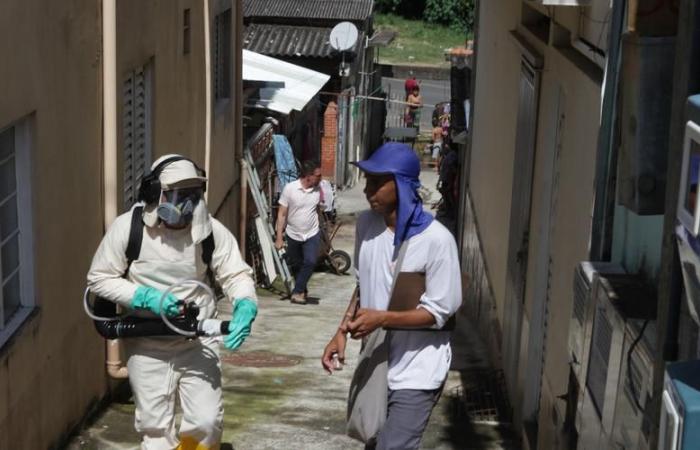 Campinas breaks historic record for dengue cases