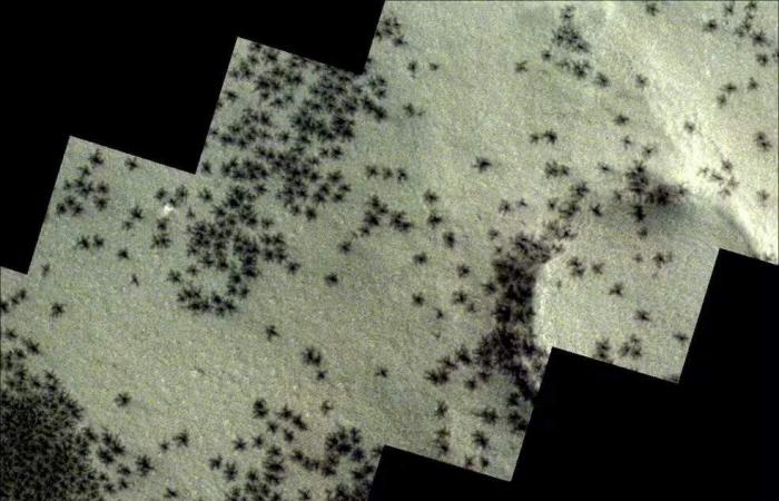 European Space Agency probe detects “spiders” on Mars