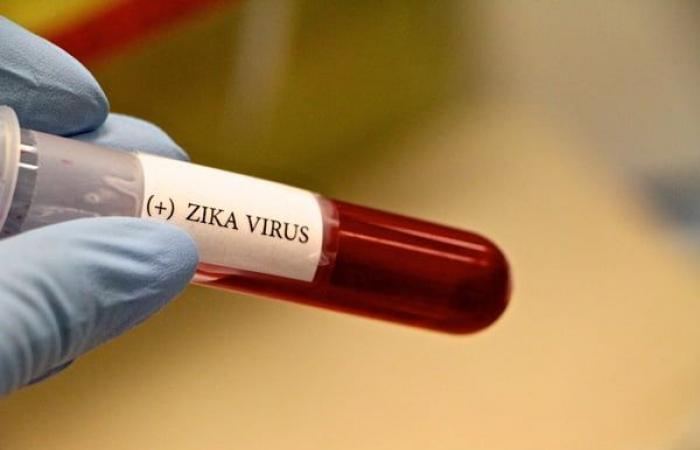 Brazil surpasses number of chikungunya cases in 2023