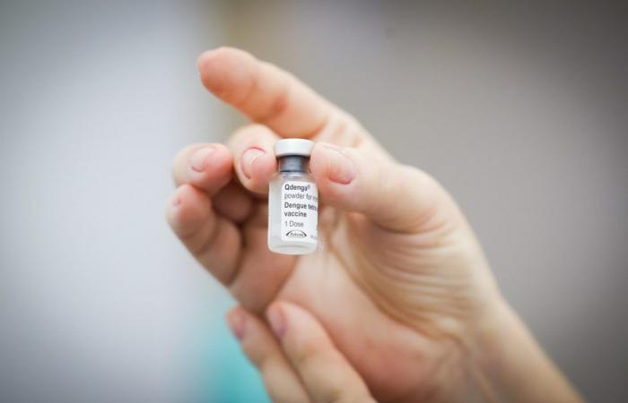 American expands age range for dengue vaccination to children aged 10 to 14 | Campinas and Region