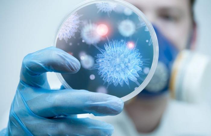 More than 800 infected with norovirus at spring festival in Stuttgart