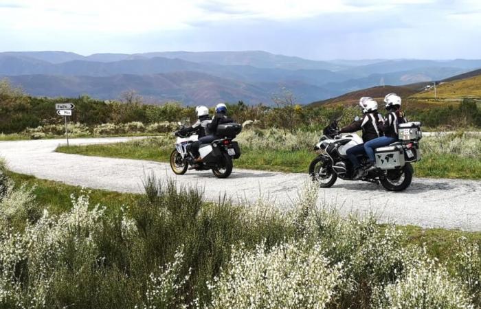 Motor rallies: experiencing Nature in Castro Daire