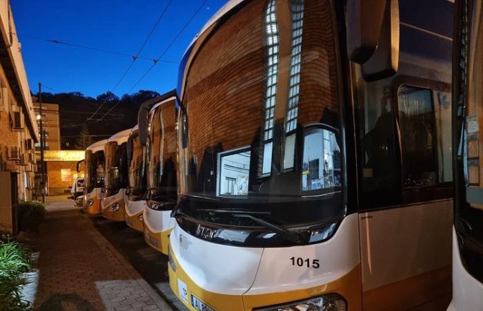 Coimbra will have a Management Entity for the Intermodal Transport System
