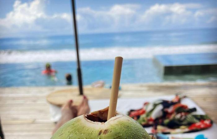 Step into Jessica Athayde’s dream vacation where there’s apple ‘ducklings’ and coconut water